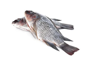 Tilapia (0.5kg, Fresh, Head)