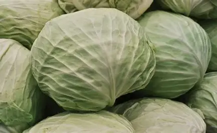 Cabbage (0.5kg, Small, Green)