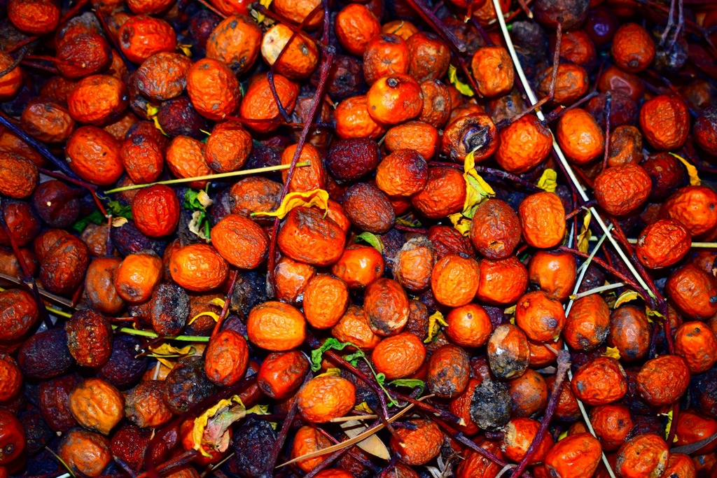Palm Oil