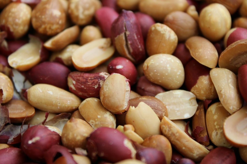 Groundnut