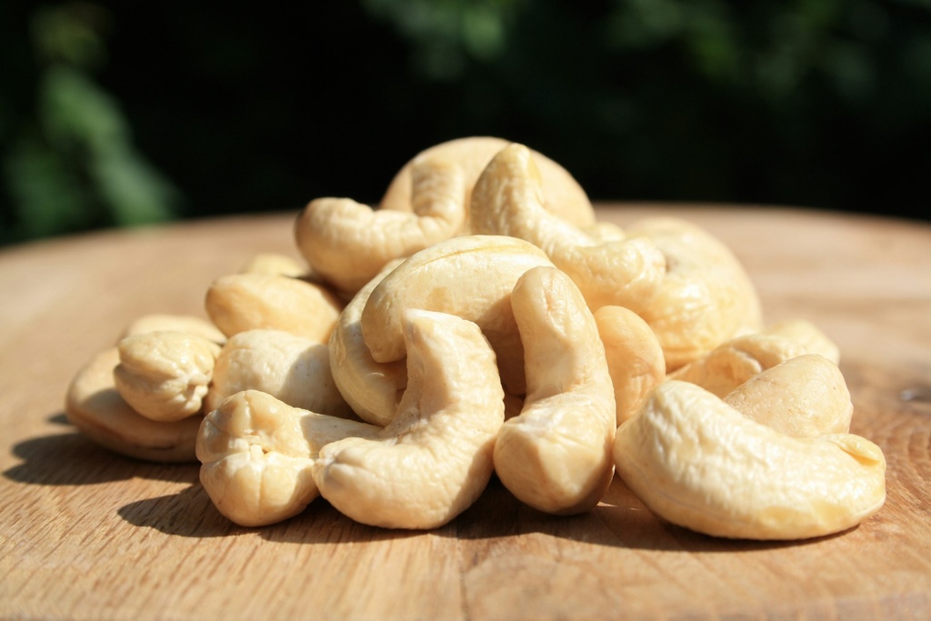 Cashew Nut