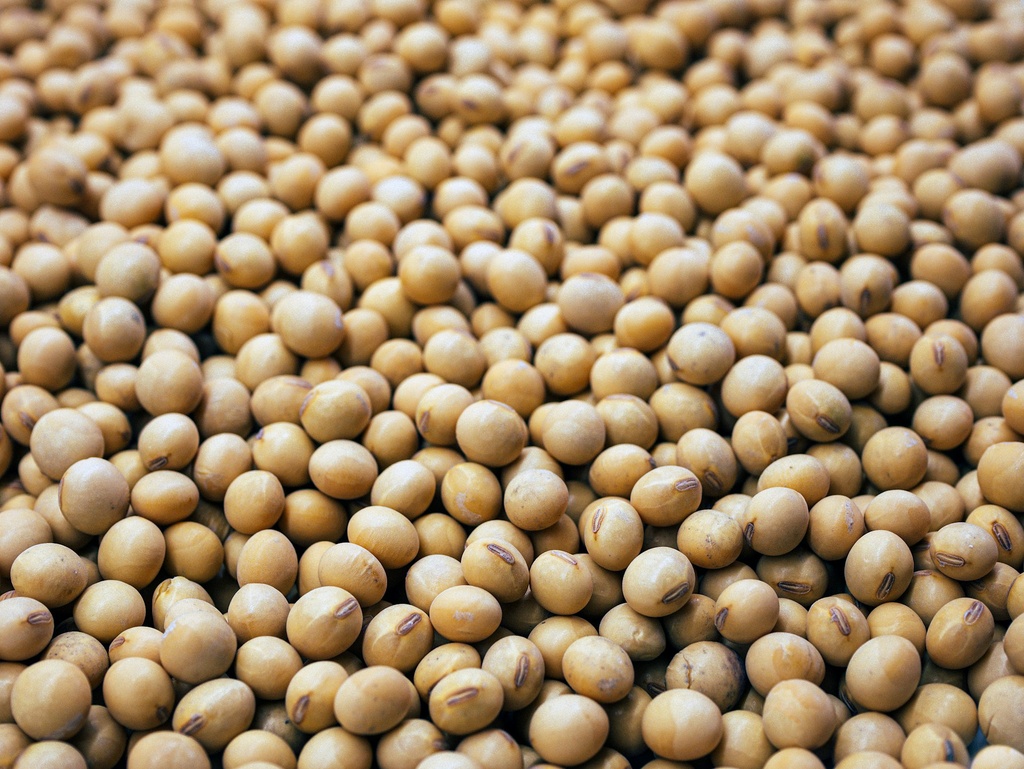 Beans