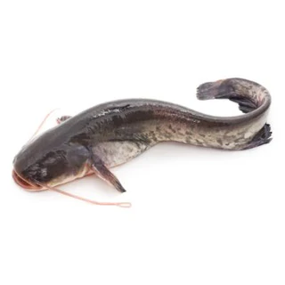 Cat Fish (0.5kg, Head, Fresh)