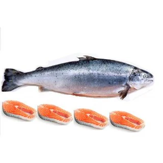 Salmon (0.5kg, Head, Fresh)